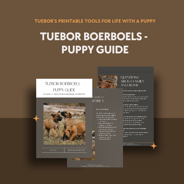 Tuebor Boerboels - Puppy Guide