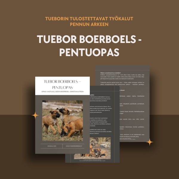 Tueborin pennunomistajan työkalut nyt saatavilla!