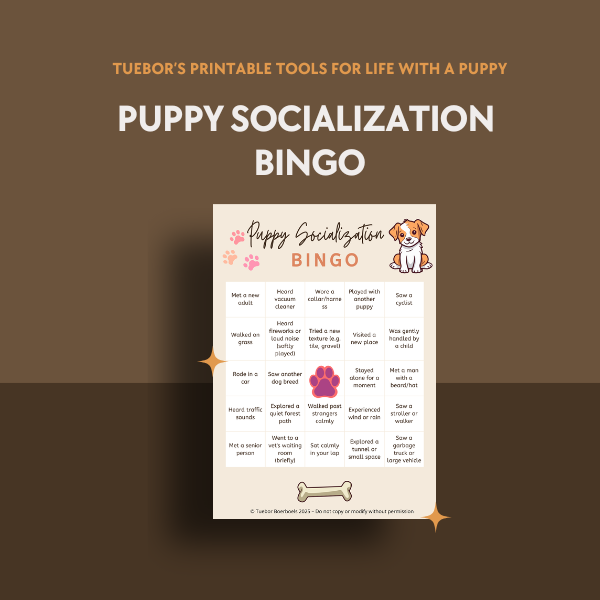 Puppy Socialization Bingo