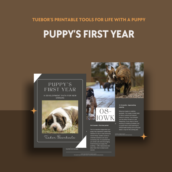 Puppy’s First Year