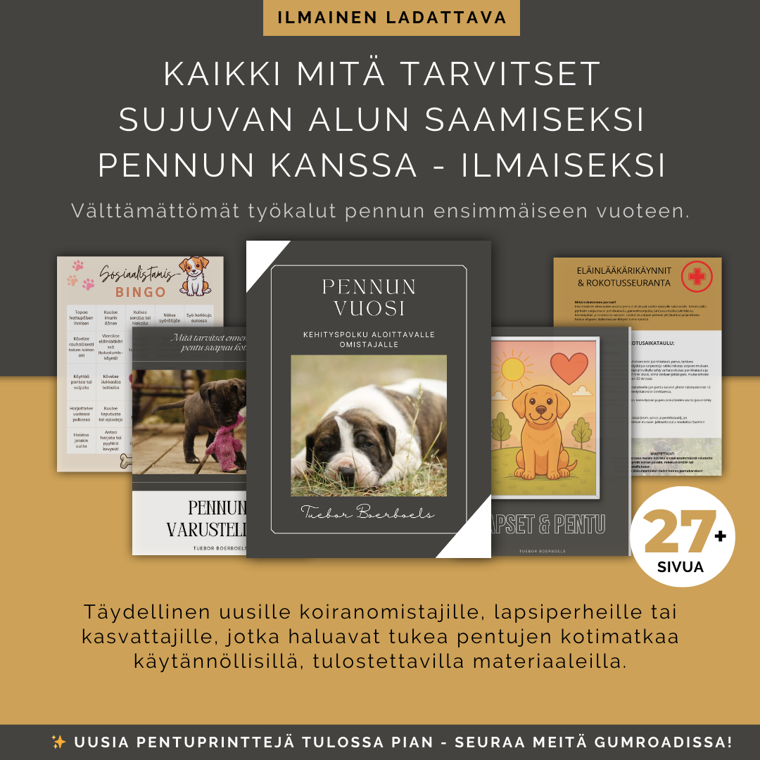Tueborin pennunomistajan työkalut nyt saatavilla!