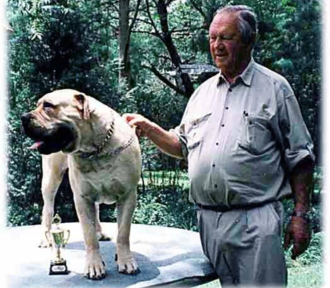 Lucas van der Merwe of Mizpah Boerboels, pictured with a Boerboel.